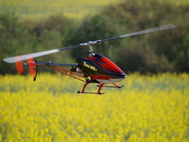 ALIGN T-Rex 600 EFL Spirit