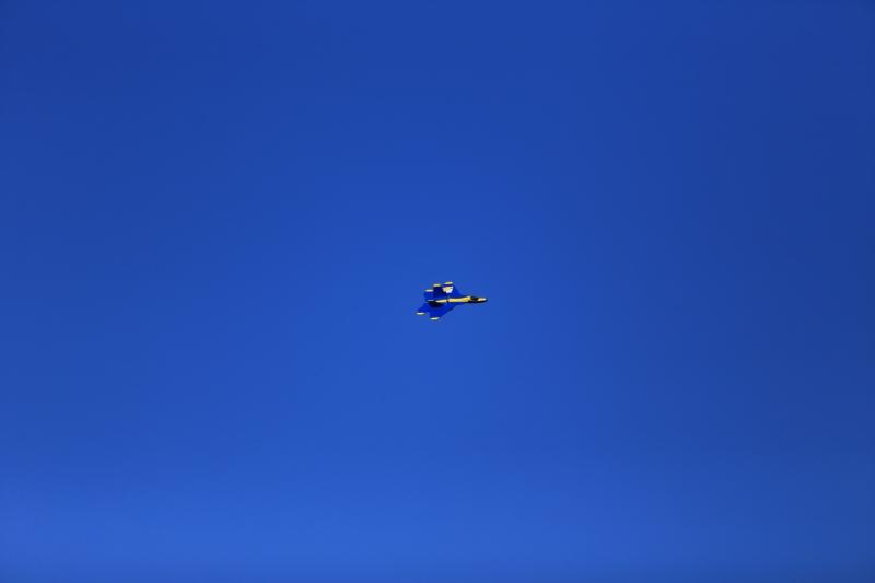 F22 Epp/Depron Parkjet rip