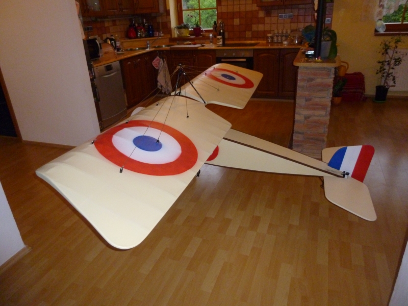 Morane Saulnier L