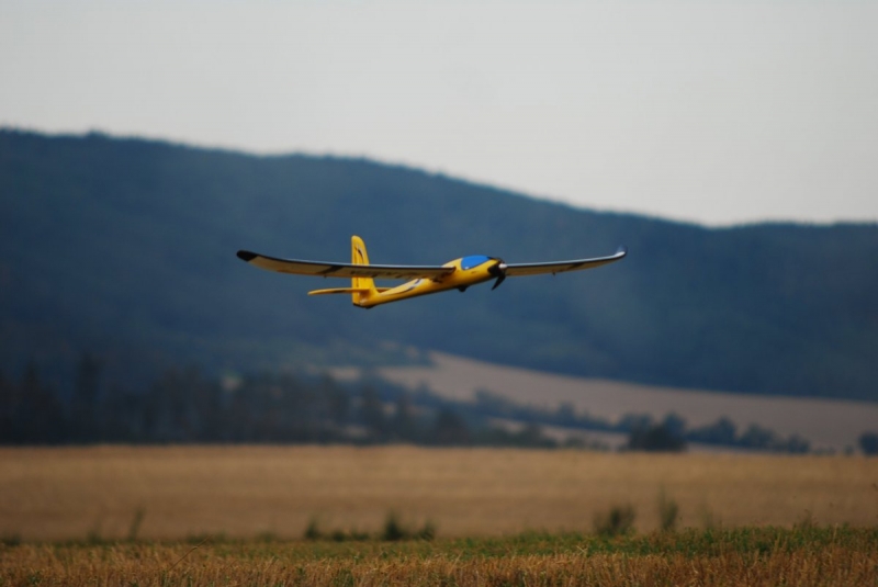 Easy Glider - Multiplex