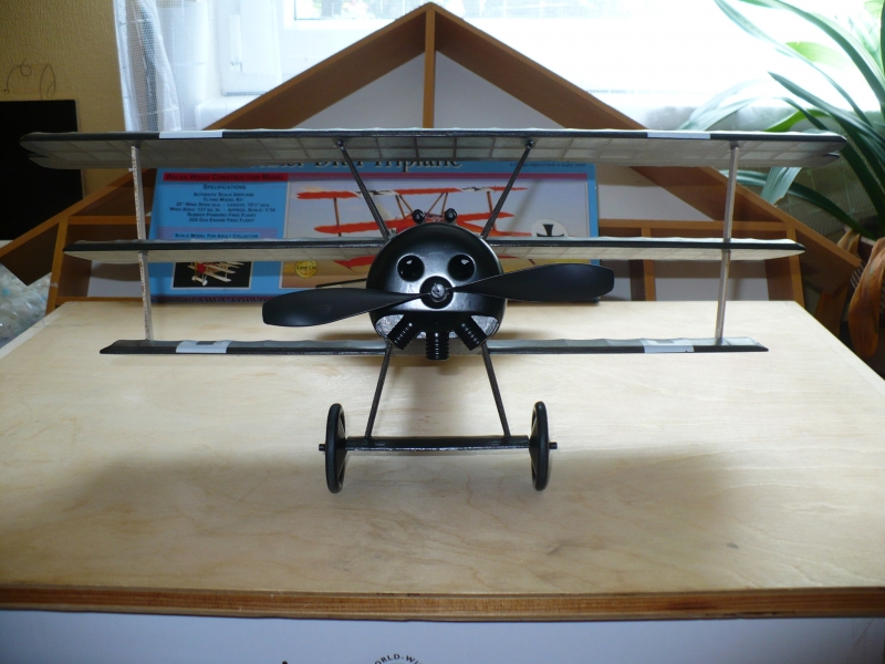 Fokker DR-I Black Falcon