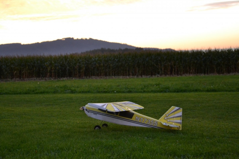 Bellanca Decathlon