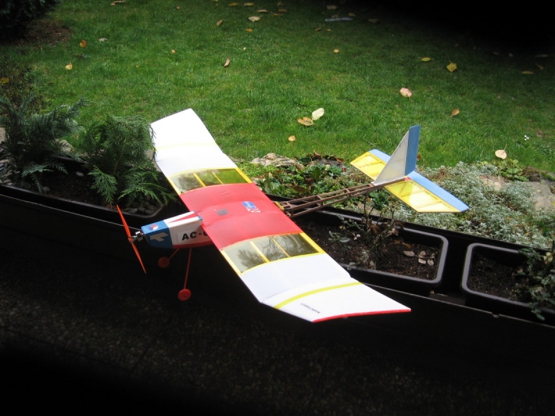 Alka...model do tělocvičny