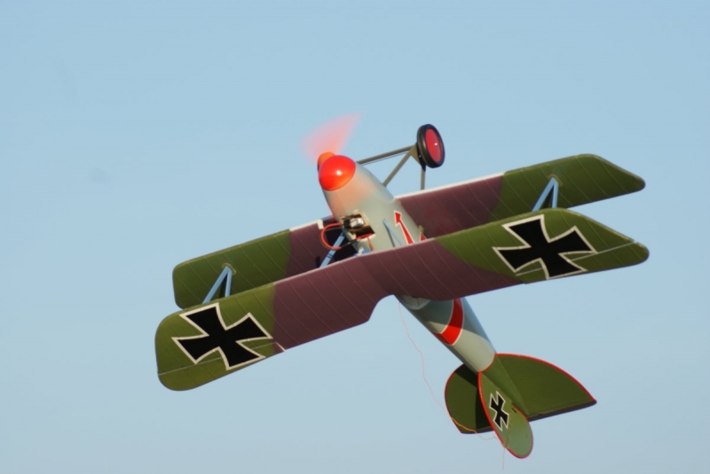 Albatros DVI