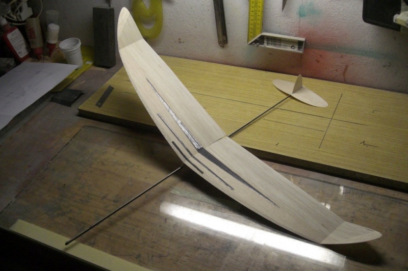 F1N Damir Kosir No.29 M