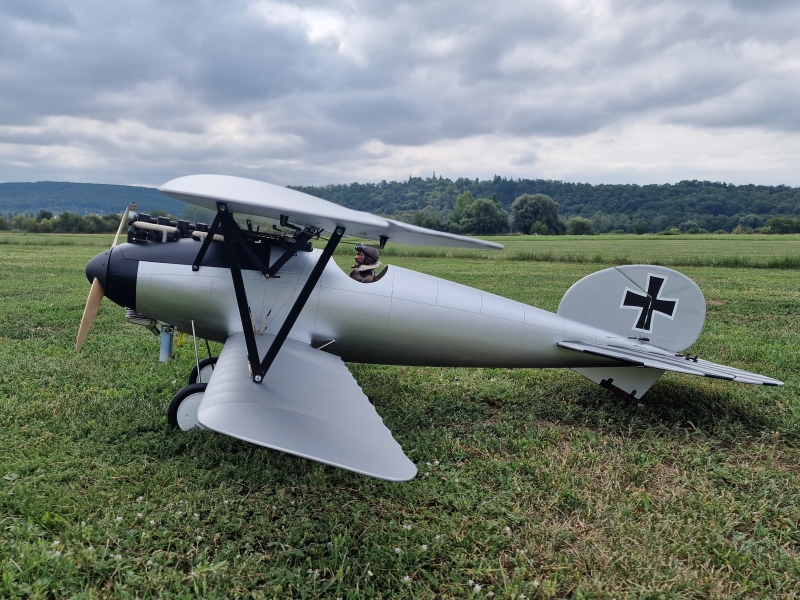 Albatros DV