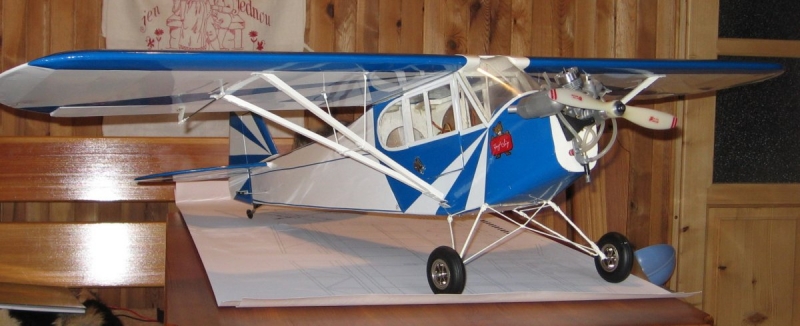 Piper J-3 clipped wing cub