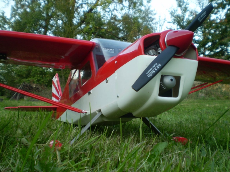 Bellanca Decathlon