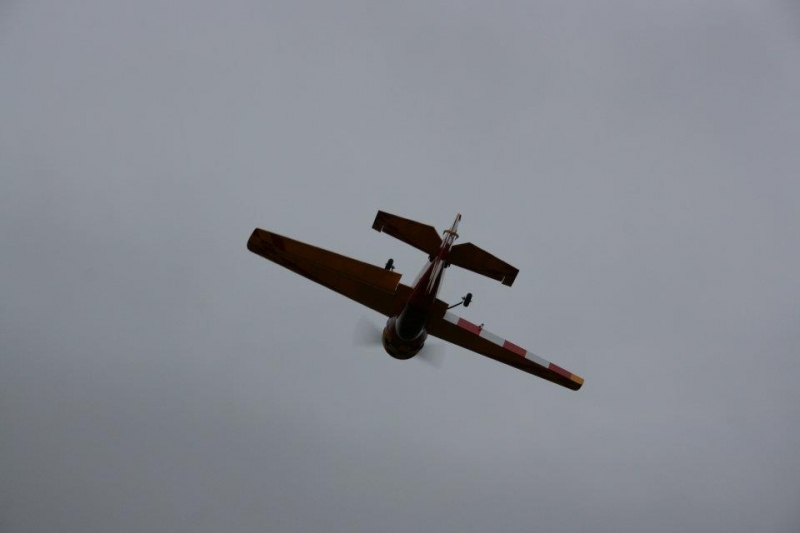 Yak 55 GoldWing 1,86m