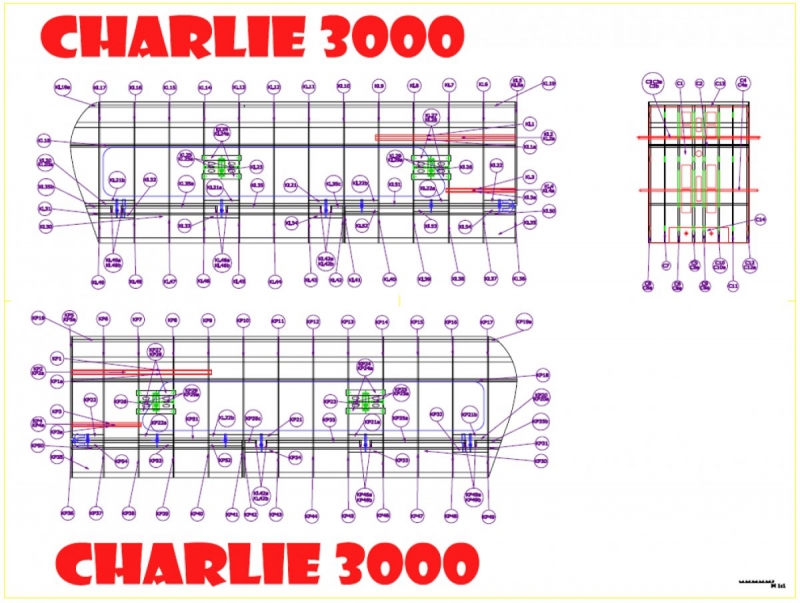 Charlie 3000