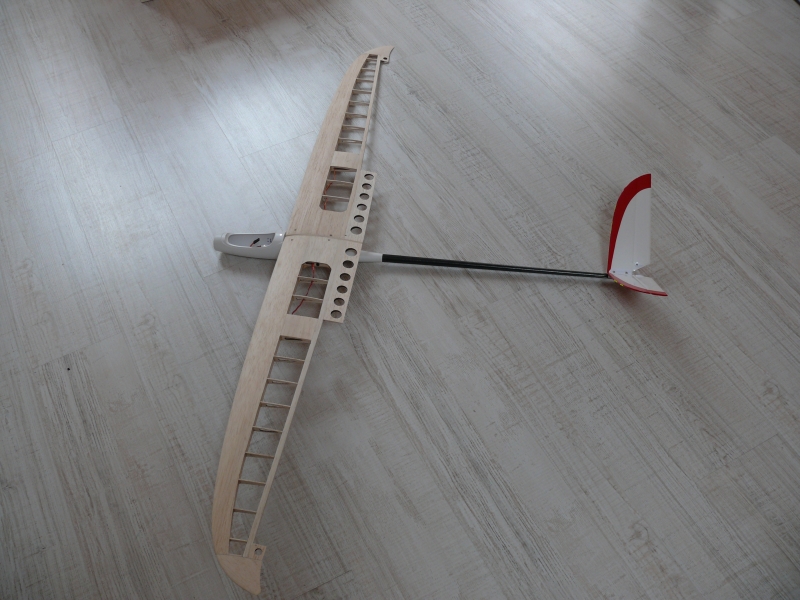 E-Hawk