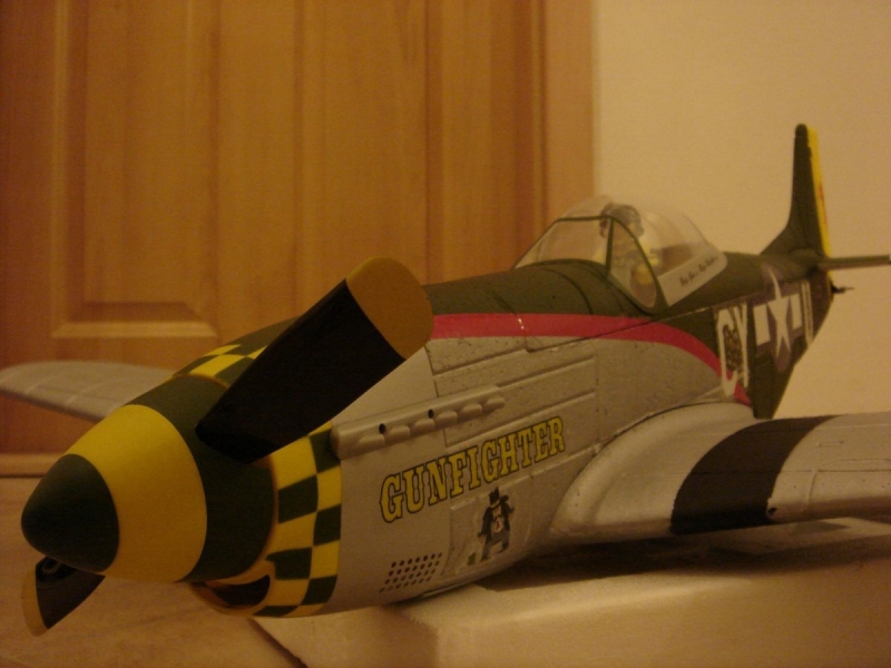 Mustang P-51 Gunfighter