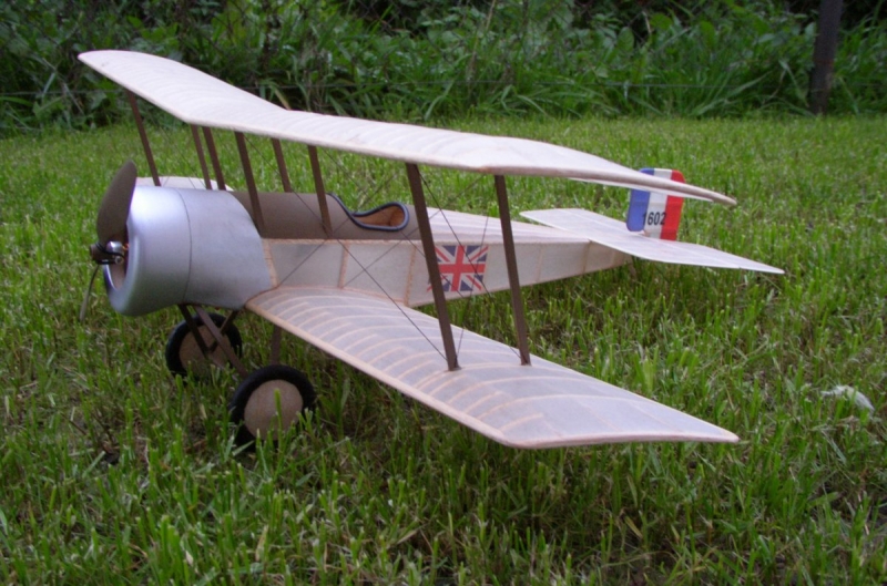 Bristol scout