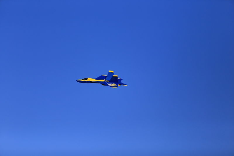 F22 Epp/Depron Parkjet rip