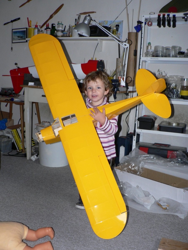 Piper NE-1  - malej