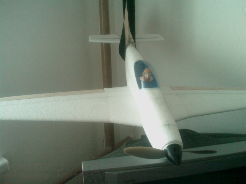 Mustang P-51 EPP