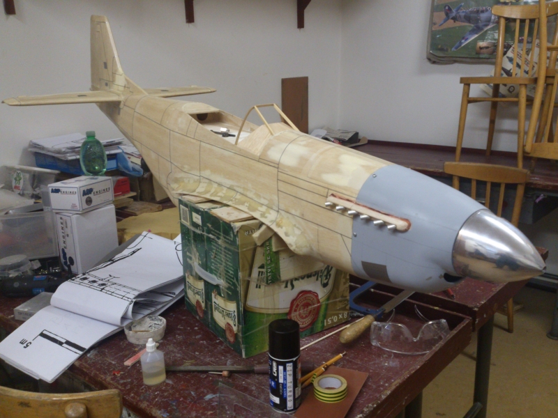 P-51 D Mustang