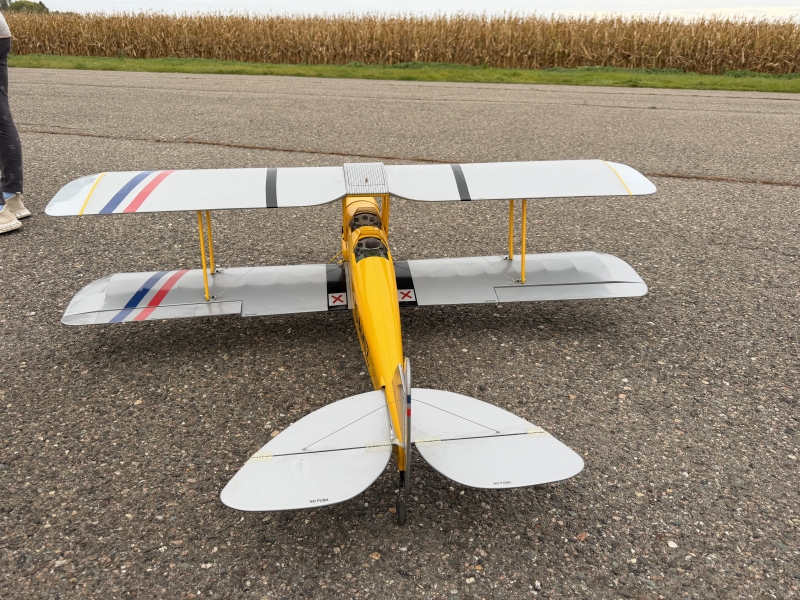 Tiger Moth