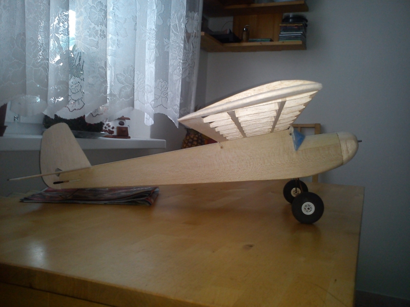 RCM 1/2A Basic Trainer