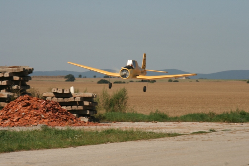 Z-37 Cmelak