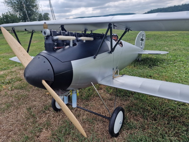 Albatros DV