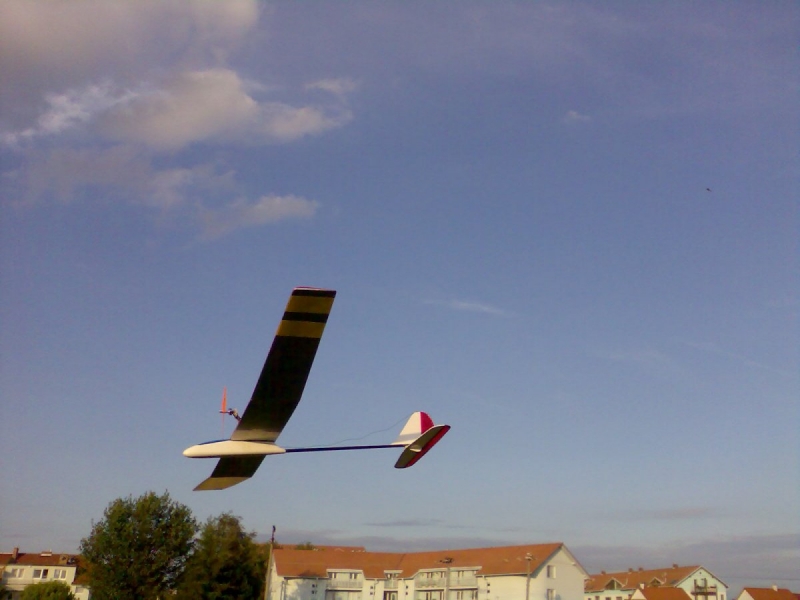 Ušák / Vingleťák