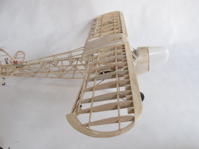 Piper 1:6 clipped wing