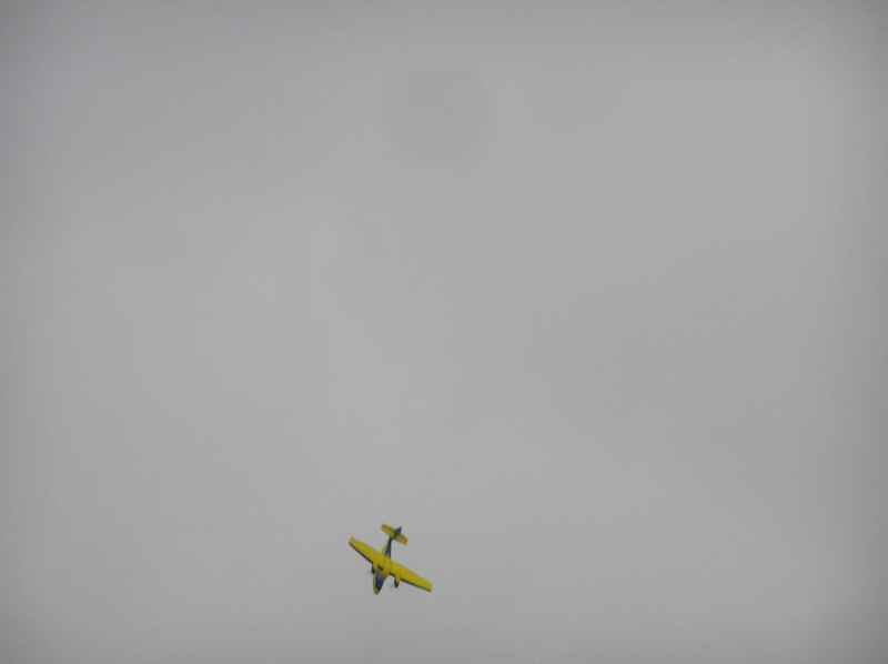 Grumman G-44 Widgeon