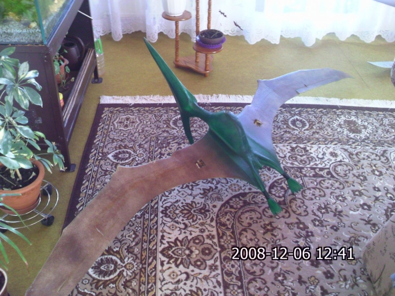 Pterodon