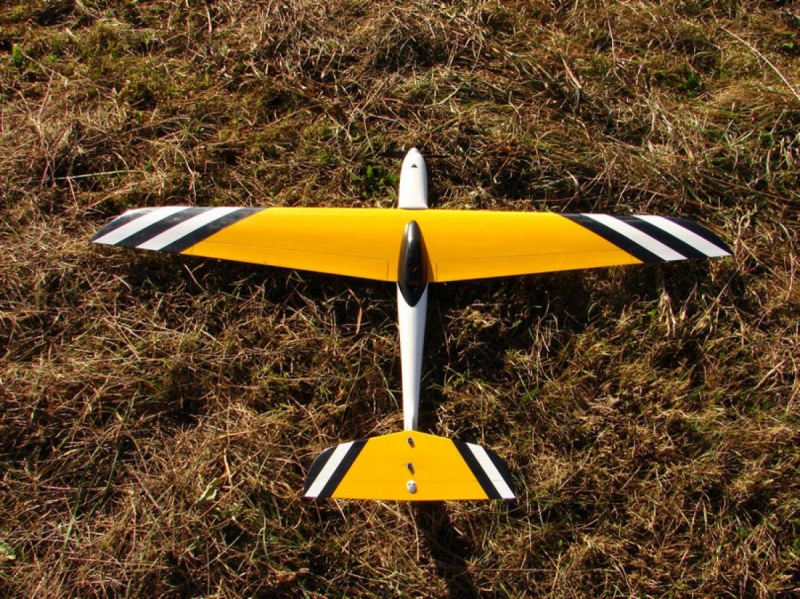 Stinger