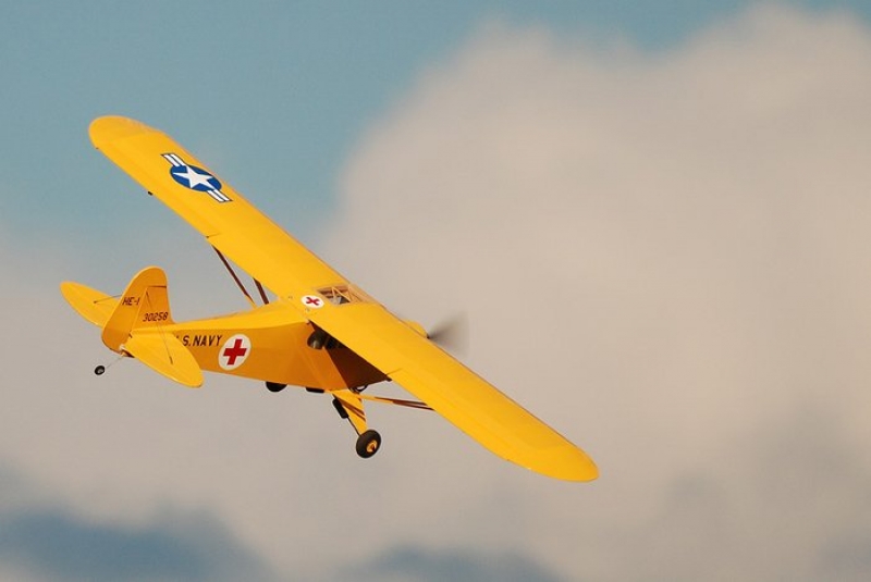 Piper NE-1  - malej
