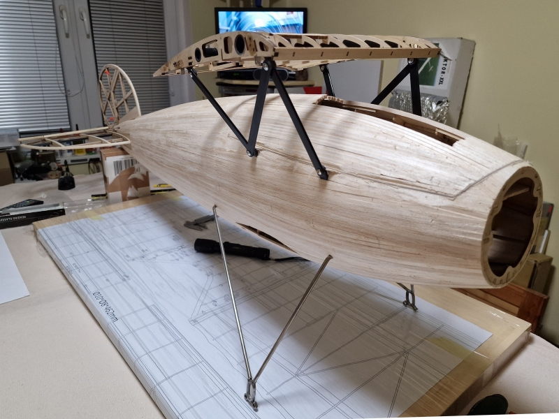 Albatros DV