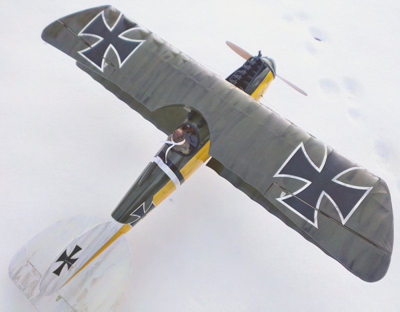 Albatros D.V