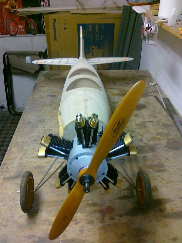 Fieseler Tigerschwalbe