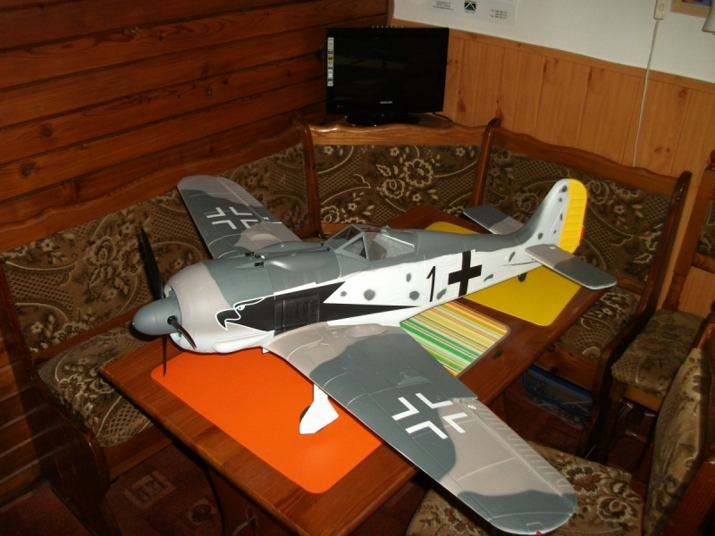 FW-190