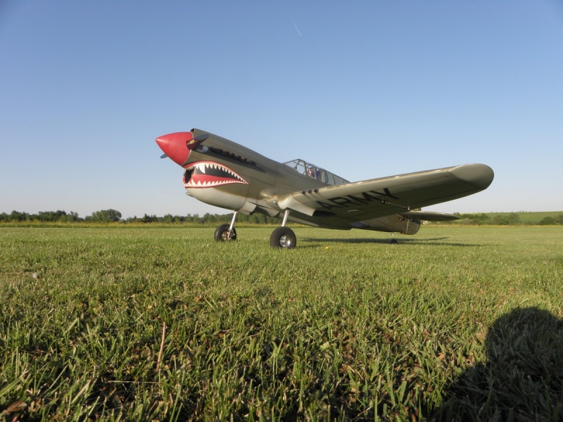 P-40 Warhawk