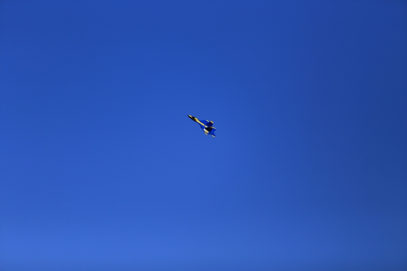 F22 Epp/Depron Parkjet rip