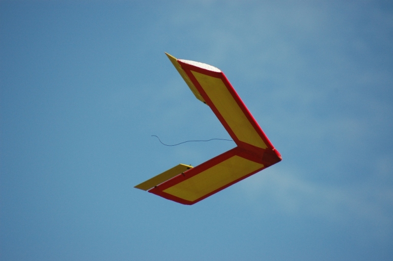 Combat wing