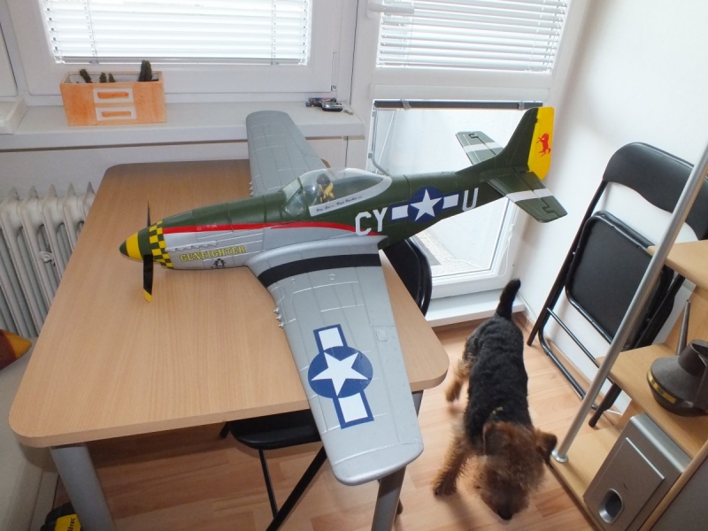 P-51 Mustang Gunfighter ARF