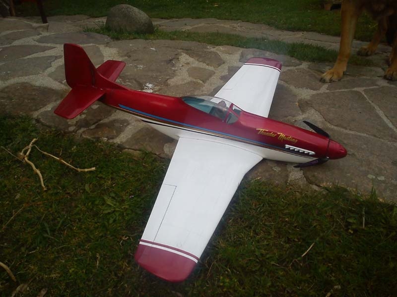 P51D Thunder Mustang 