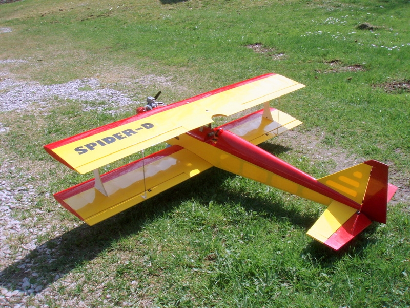 Spider D