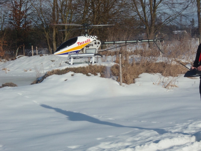 Hughes 500 T-Rex 600N