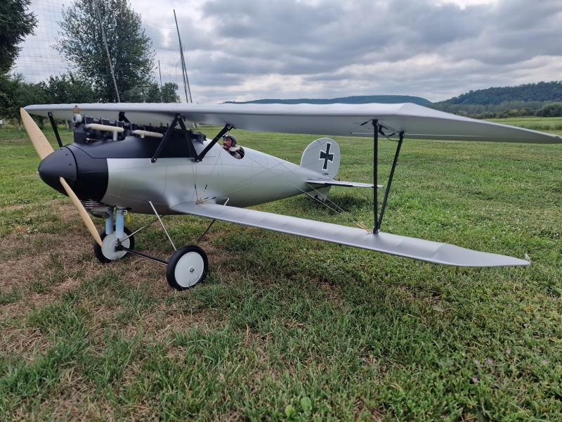 Albatros DV