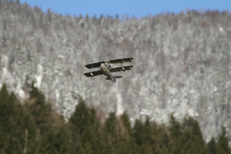 Mirco Walrus flying