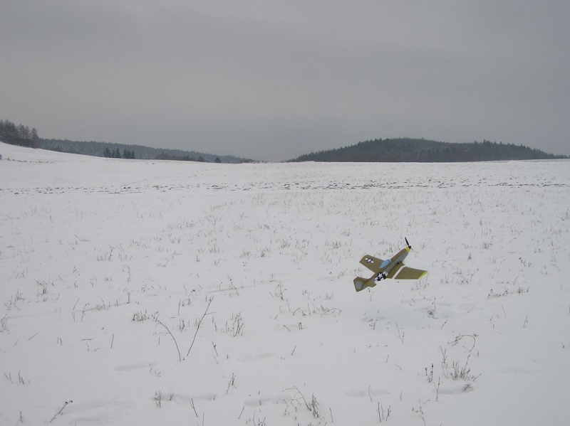 Mustang P-51D    1/12