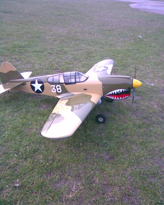 p40 warhawk