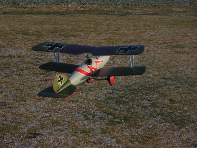 Albatros DVI