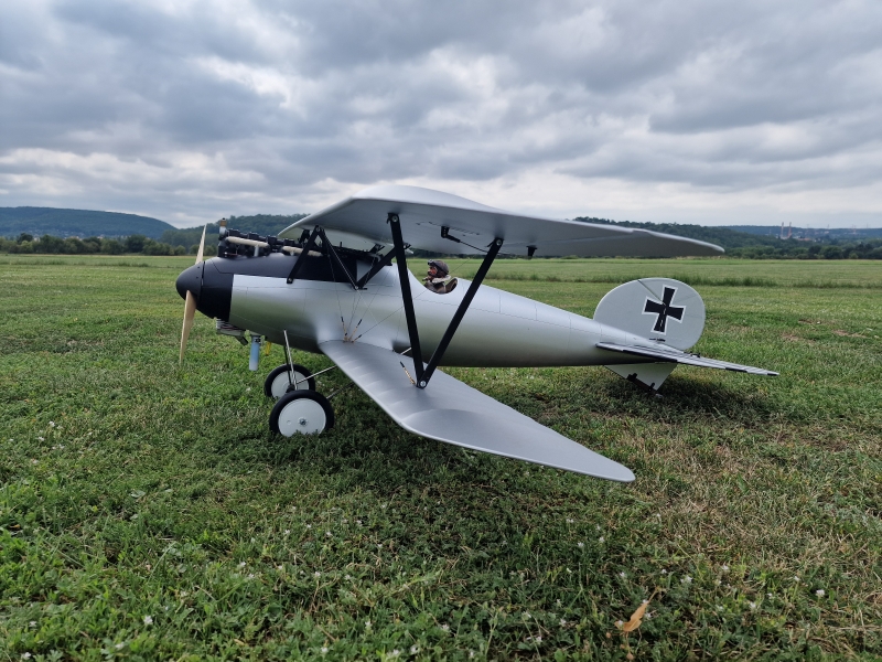 Albatros DV