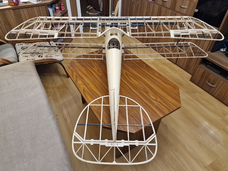 Albatros DV