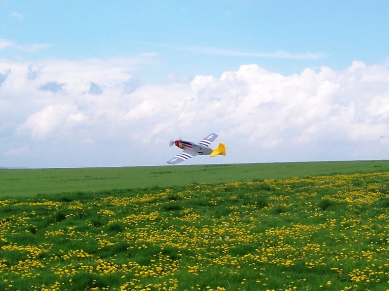 Mustang P51 EPA